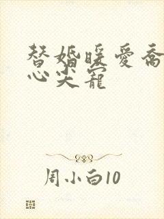 替婚暖爱乔少的心尖宠