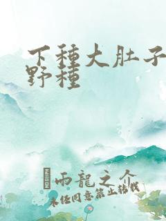 下种大肚子怀孕野种