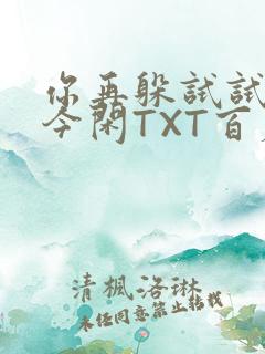 你再躲试试BY今闲TXT百度网盘