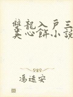 双龙入户三人行夹心饼小说