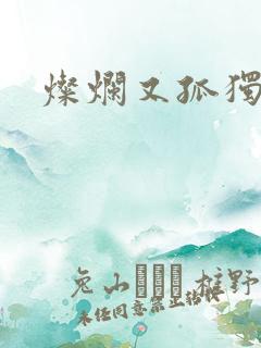 灿烂又孤独的神