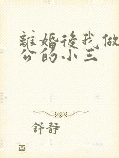 离婚后我做了老公的小三