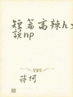 短篇高辣h文小说np