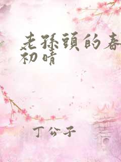 老孙头的春天林初晴