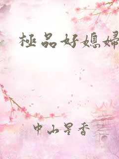 极品好媳妇