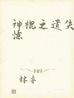 神棍之遗失的记忆