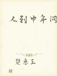 人到中年网站
