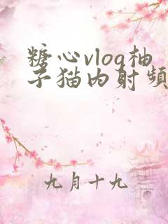 糖心vlog柚子猫内射频