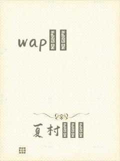 wapС˵