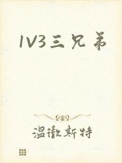 1V3三兄弟
