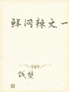 鲜网辣文一对一