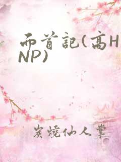 面首记(高H NP)