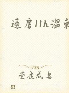 通房11h温东