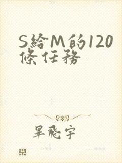 S给M的120条任务