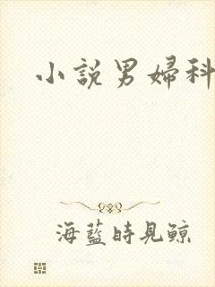 小说男妇科医生