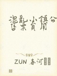 混乱小镇公交车售票员用
