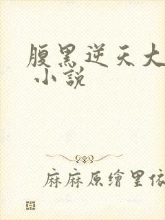 腹黑逆天大小姐 小说