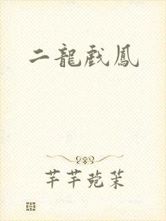 二龙戏凤