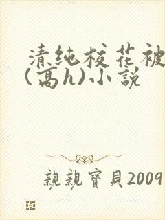 清纯校花被调教(高h)小说