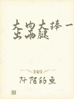 大肉大捧一进一出两腿