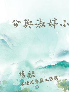 公与淑婷小说