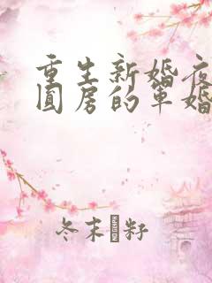 重生新婚夜正在圆房的军婚