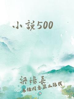 小说500