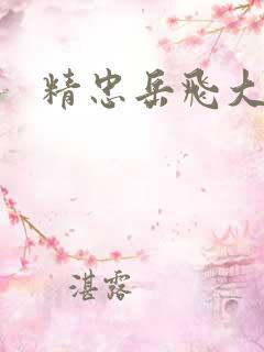 精忠岳飞大结局