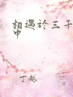 相遇于三千肉文中