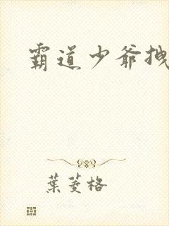 霸道少爷拽上我