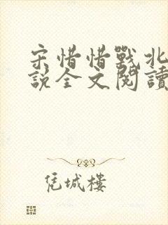 宋惜惜战北望小说全文阅读