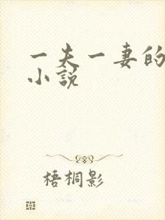 一夫一妻的玄幻小说