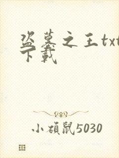 盗墓之王txt下载