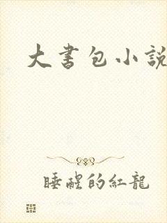 大书包小说