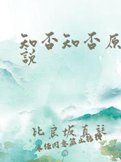 知否知否原著小说