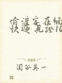 偷渡客在缅北送快递 见证100种逃亡