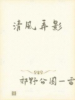 清风弄影