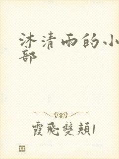 沐清雨的小说全部