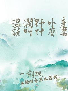 温澜野外产子小说叫什么名字