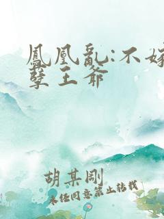 凤凰乱:不嫁妖孽王爷