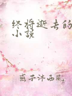 终将逝去的青春小说