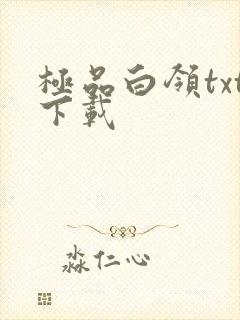 极品白领txt下载