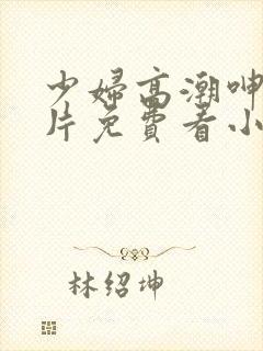 少妇高潮呻吟A片免费看小说