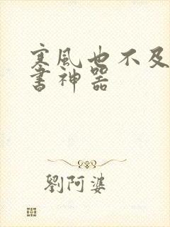 寒风也不及她追书神器