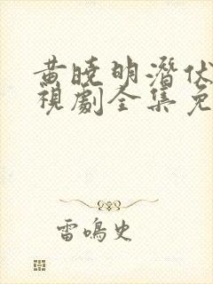 黄晓明潜伏者电视剧全集免费观看