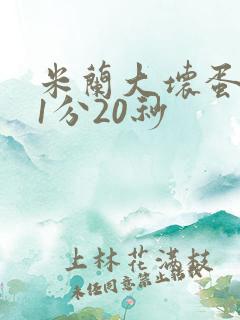 米兰大坏蛋真空1分20秒