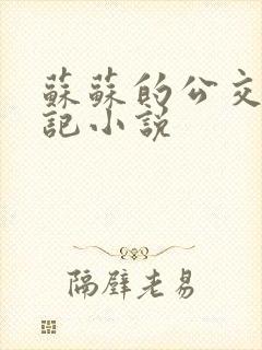 苏苏的公交车日记小说