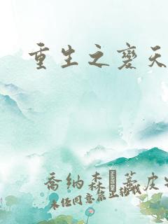 重生之变天