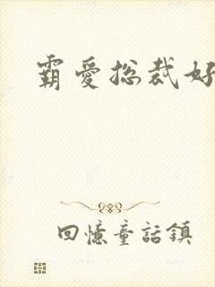 霸爱总裁好生猛