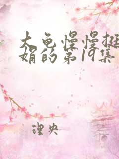 大龟慢慢挺进张娟的第19集